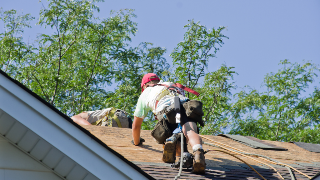 professional roof leak detection Florida